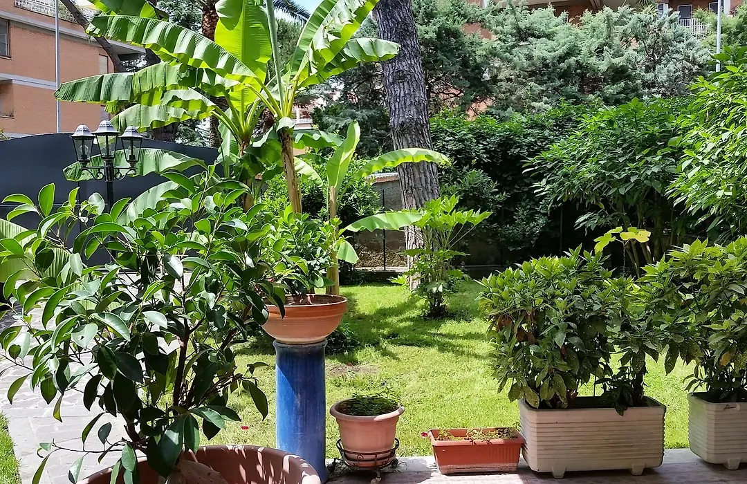 Il Giardino Di Giulia 2-1