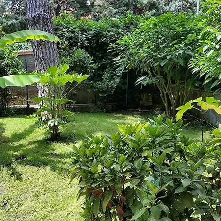 Il Giardino Di Giulia 2-3