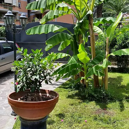 Il Giardino Di Giulia 2-2